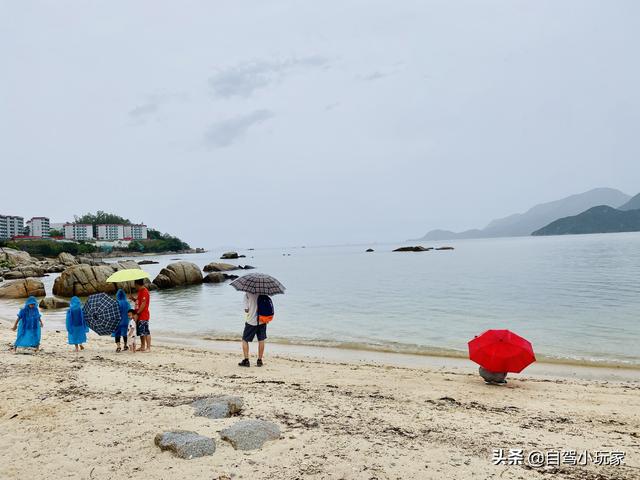 深圳竟还藏着一个“野沙滩”，开车直达，很少有人来，停车还免费