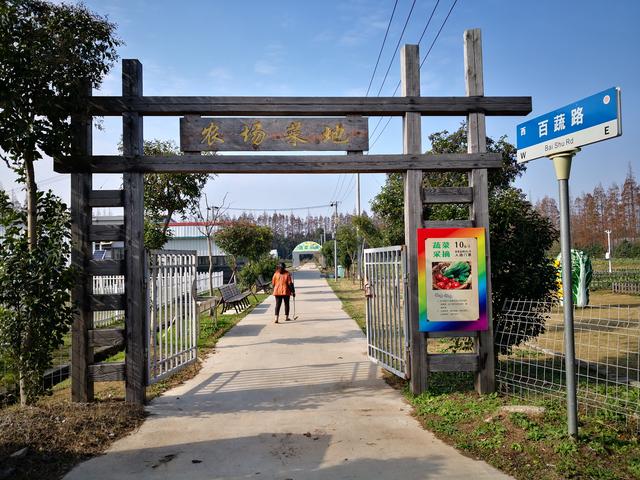 长兴岛郊野公园团建