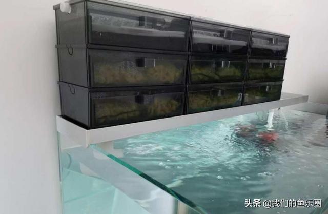 二合一过滤机耐用吗