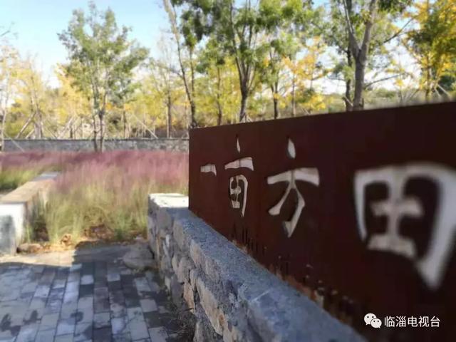 青州废水处理压滤机厂家