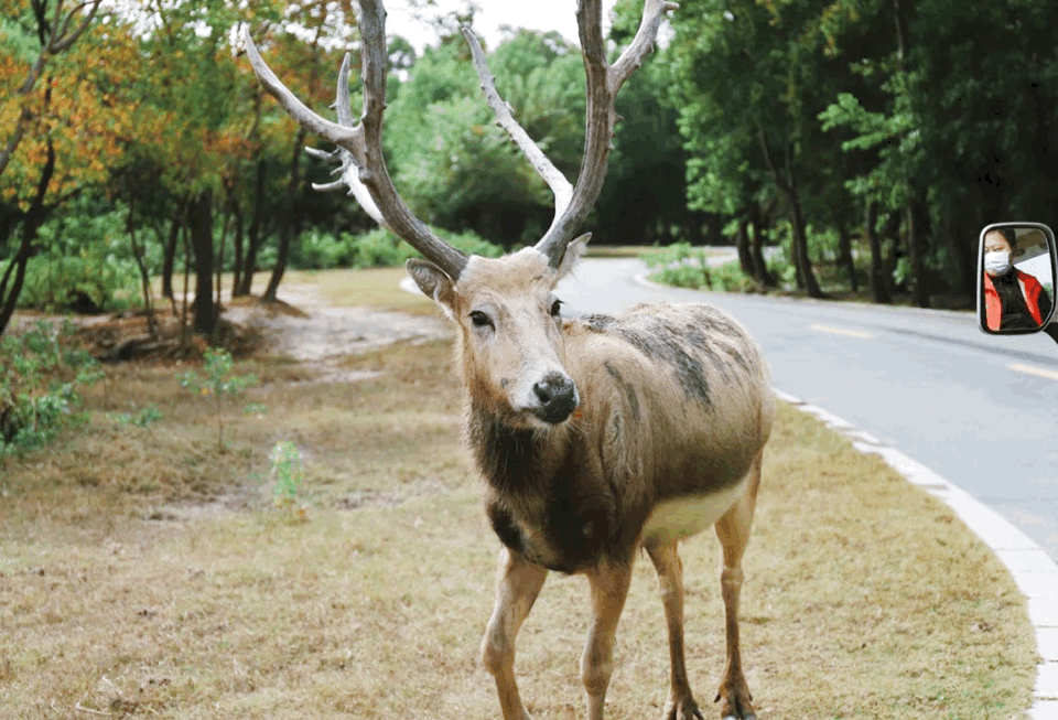 黃海森林公園團建