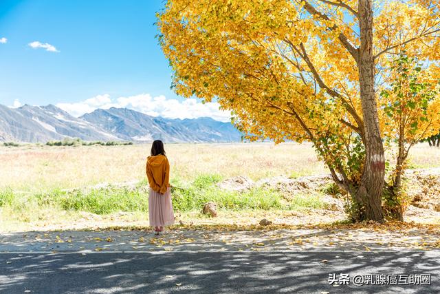抗癌“神藥”T-DXd關鍵臨床數據發布，降低乳腺癌復發風險72%