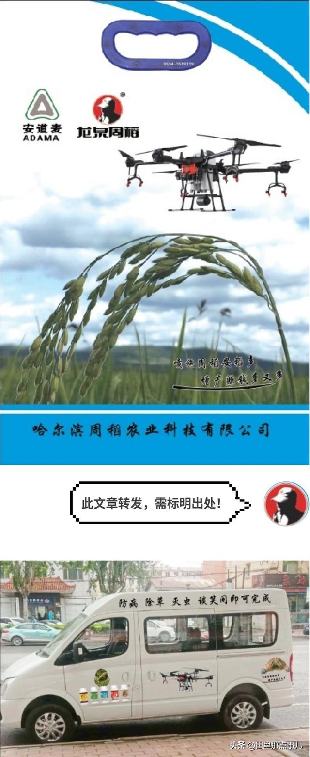 全省多地爆发红白线虫「稻瘿蚊」——如何去用药？