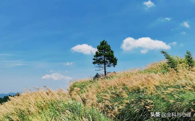 下半年,适合一个人出来的20个小众旅行地:累了,就出来走一走吧