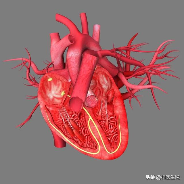 大生化检查项目多少钱 大生化检查项目多少钱（做个大生化检查需要多少钱） 动物