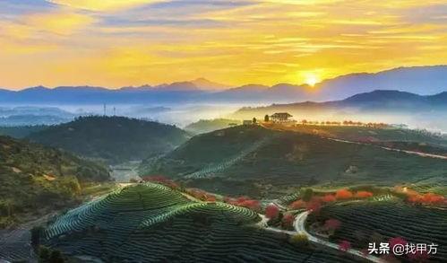 龙岩展图工程