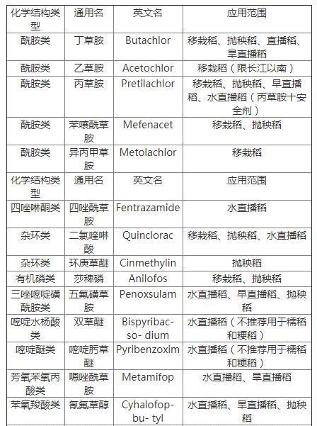 水稻除草：水稻生长大害——稗草、千金子，这几种方法彻底根除3