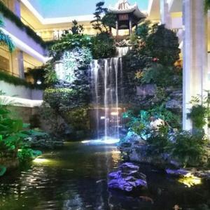 百鸟朝凤104169621