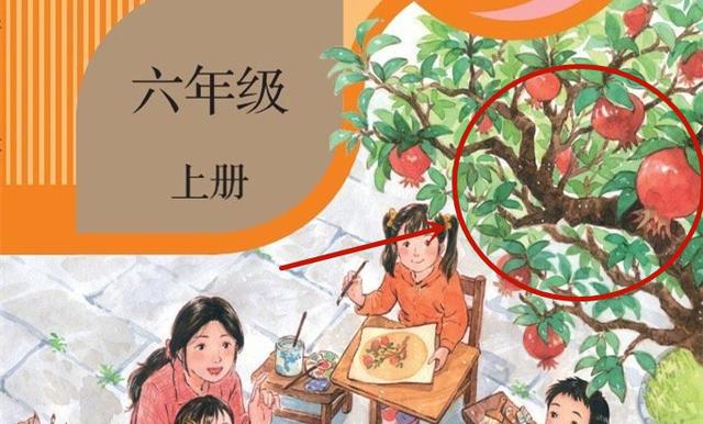 小学语文封面“二胎变三胎”，网友调侃妈妈“变邋遢”，官方回应