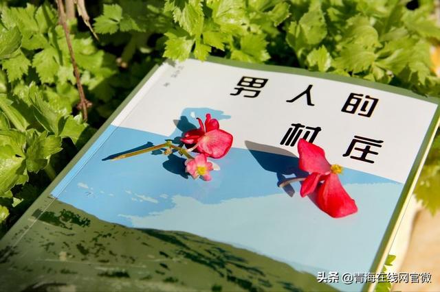青海读者热议青年作家刘志强小说 男人的村庄