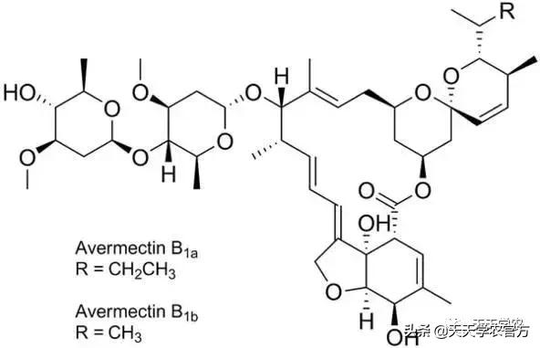 阿维菌素能杀夏季的大多数虫害，但为什么有人说越来越不好用了？1