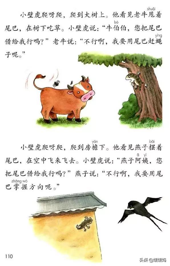 一年级下册语文课文21《小壁虎借尾巴》图文详解及同步练习
