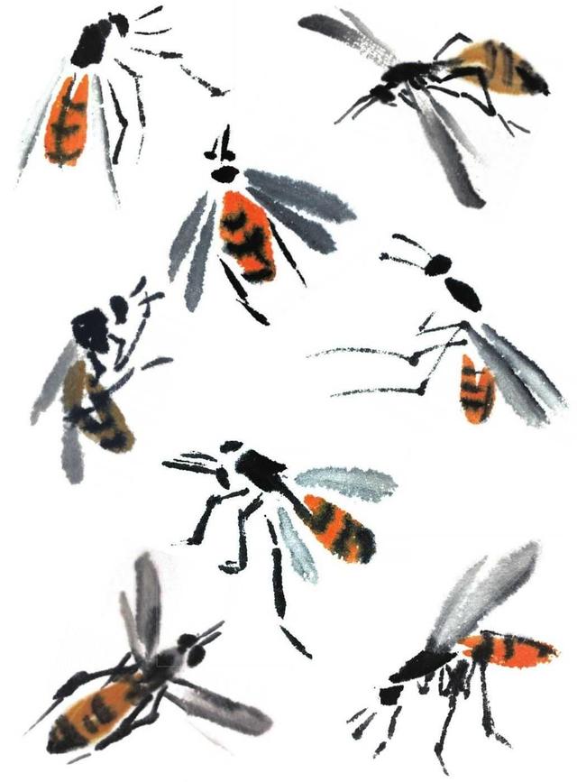 蜜蜂的画法 蜜蜂的画法