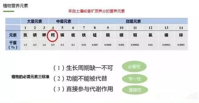 什么时间补钙硼肥好？关于钙硼的基础知识和钙硼的作用原理