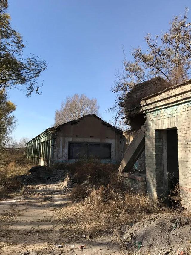 文章图片10