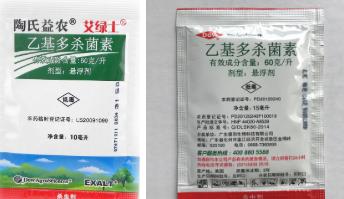 杨梅落果腐烂？当心果蝇爆发！这样用食诱剂、生物药剂，几天采收7