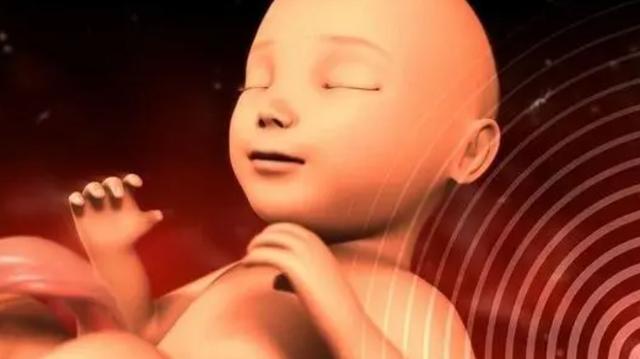 “宫内记忆”是否真的存在？即便孩子能详细表述，父母也不要多问