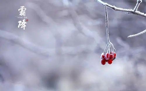 霜降过后如何养生？防秋燥、防寒、防秋郁