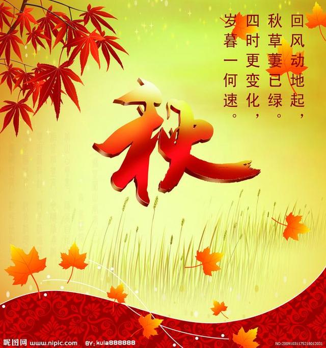 秋的喜悦与感伤……