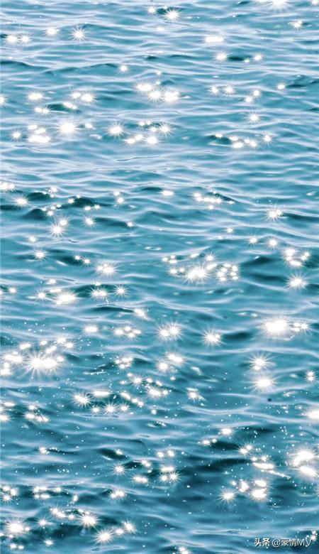 很舒心的經典海浪手機壁紙 大海和海鷗皮膚圖片 Kks資訊網