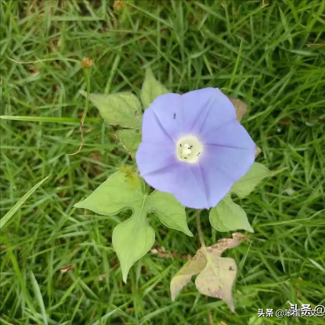 独处是自我的丰富（二）