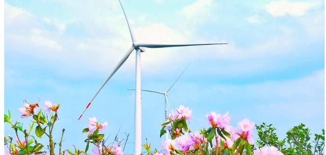 风力发电机一台造价多少钱（中国风力发电现状）