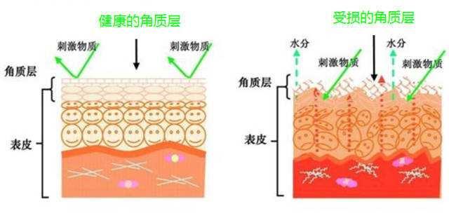 鸡皮肤只有女生有吗