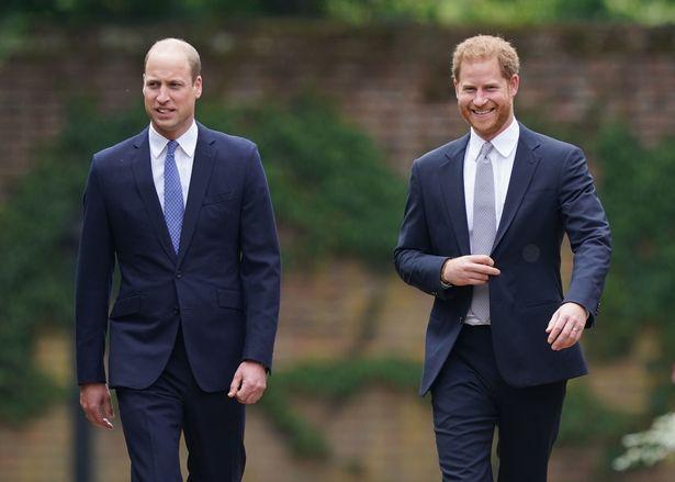 威廉王子和哈里王子,哈里王子与威廉王子