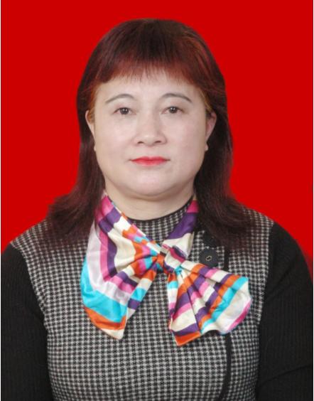 展明高级工程师
