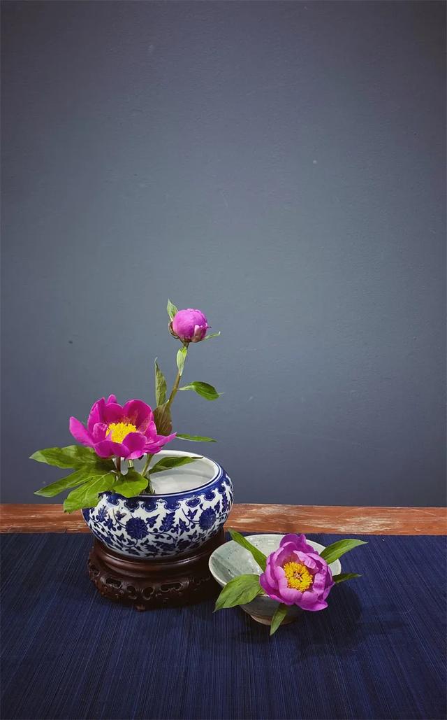 茶席花 茶道美学中的点睛之笔 太阳信息网