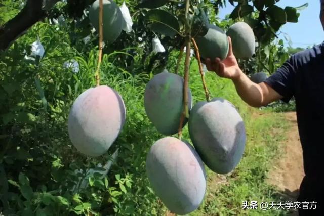 普洱单缸圆锥破碎机哪家价格便宜