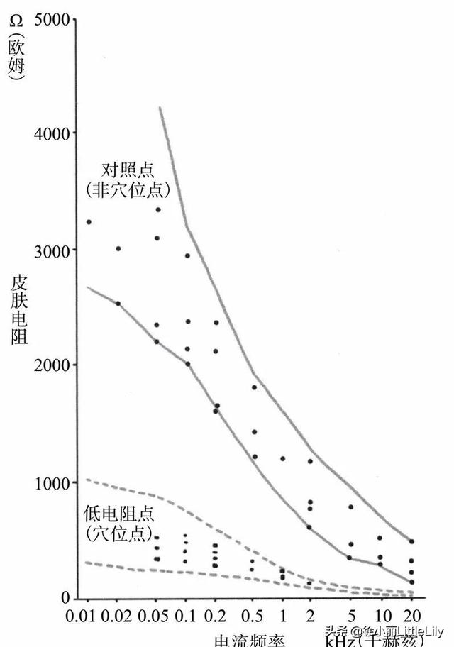 经络到底是什么
