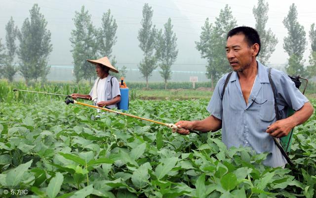 对84种害虫有特效，持效期长达20天，它被称为杀虫“小能手”