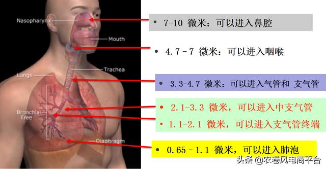 pm25是什么