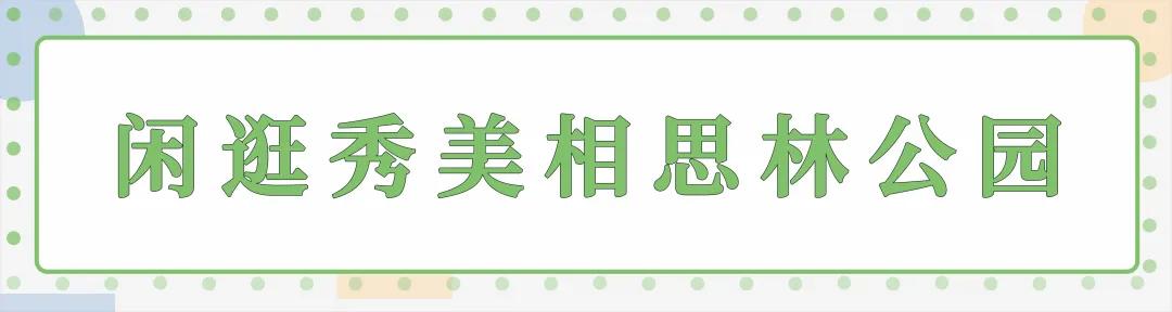 深圳可以徒步的公园，全长长长长长长有11公里