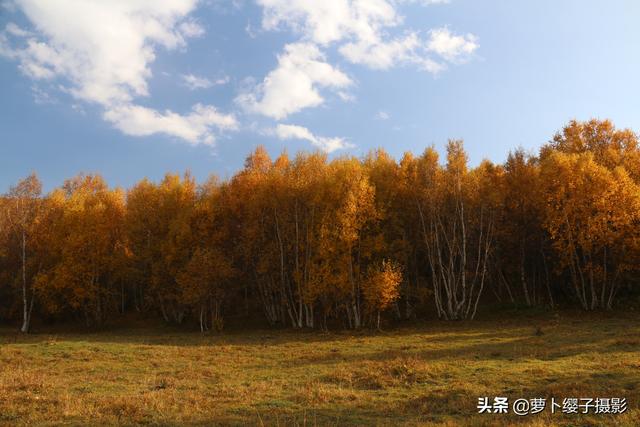 一路向北草原自駕行4：柳樹溝