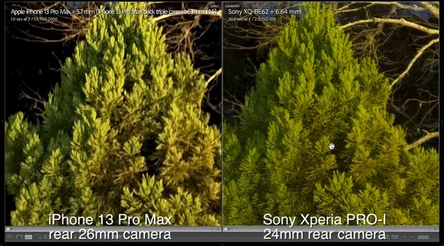 索尼XperiaPro-I与iPhone13Pro拍照对比，1英寸有多猛，看看便知