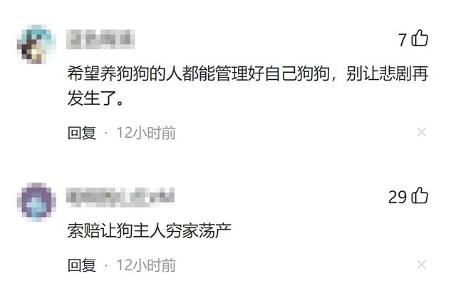 福建七旬老人被恶犬咬死，事发后狗还好好养着，死者家属：难以接受