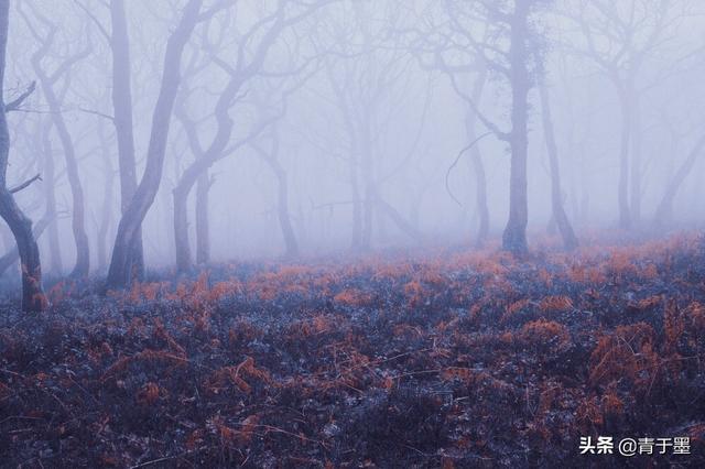 雨巷诗人是谁（戴望舒雨巷赏析）