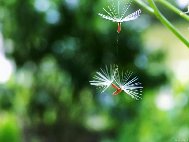 最适合冬天的儿童绘本，里面藏着“一千遍的魔法”，和孩子一起读