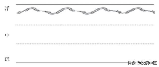 暴露体质虚弱的脉象