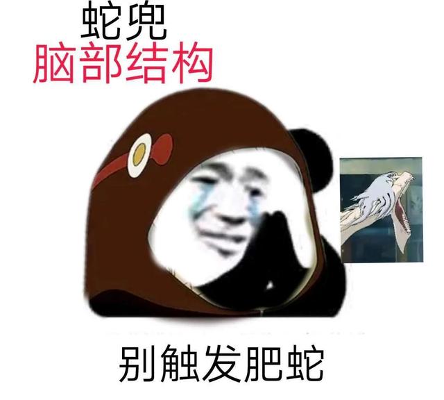 火影中的沙雕表情包 火影忍者表情包动图沙雕