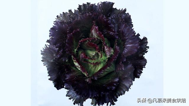 像莧菜的紫色蔬菜是什么 紫莧菜是什么植物