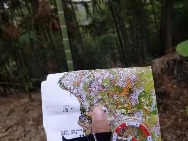 公園定向團建