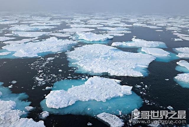 四大洋最小的是哪个洋（最小的北冰洋面积多大）