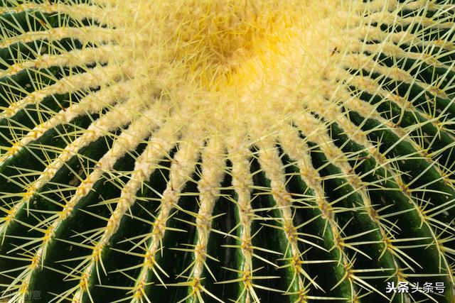 孩子成长中的那些事：你以为是爱孩子，却在不知不觉害了孩子