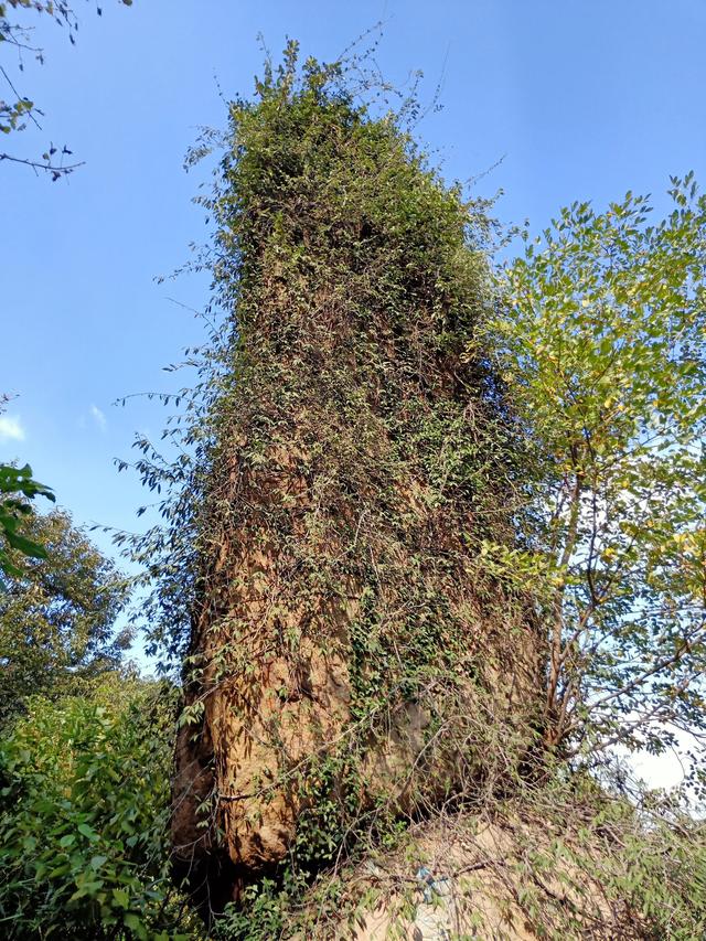 带宝宝爬天平山