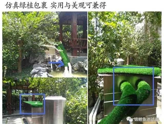鱼池转鼓过滤机需要多久冲一次水