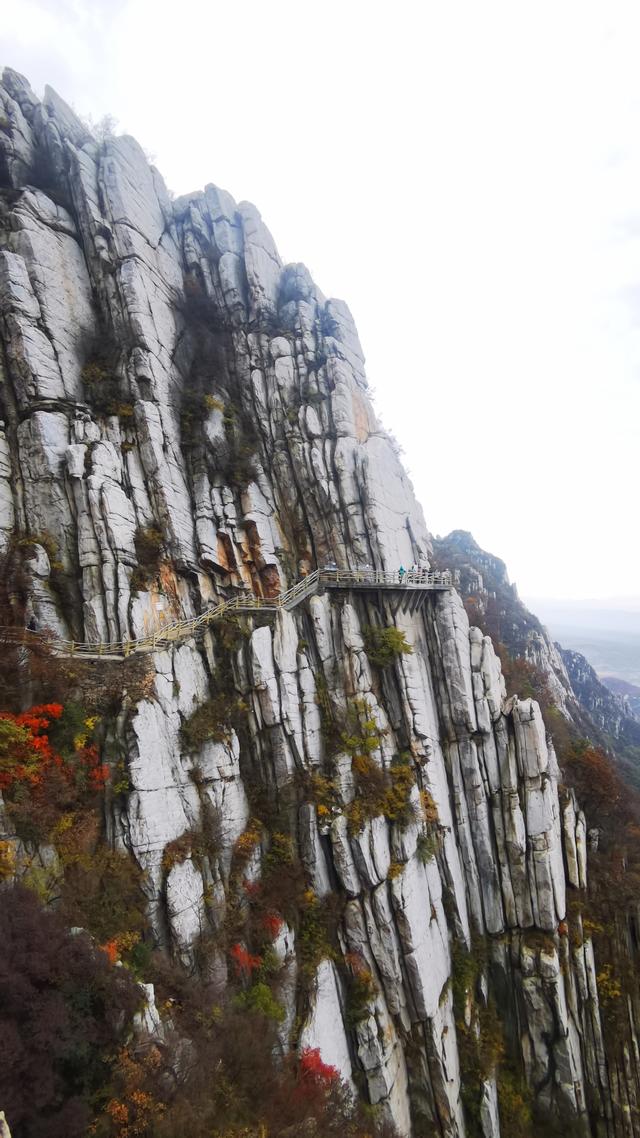 伏牛山在哪