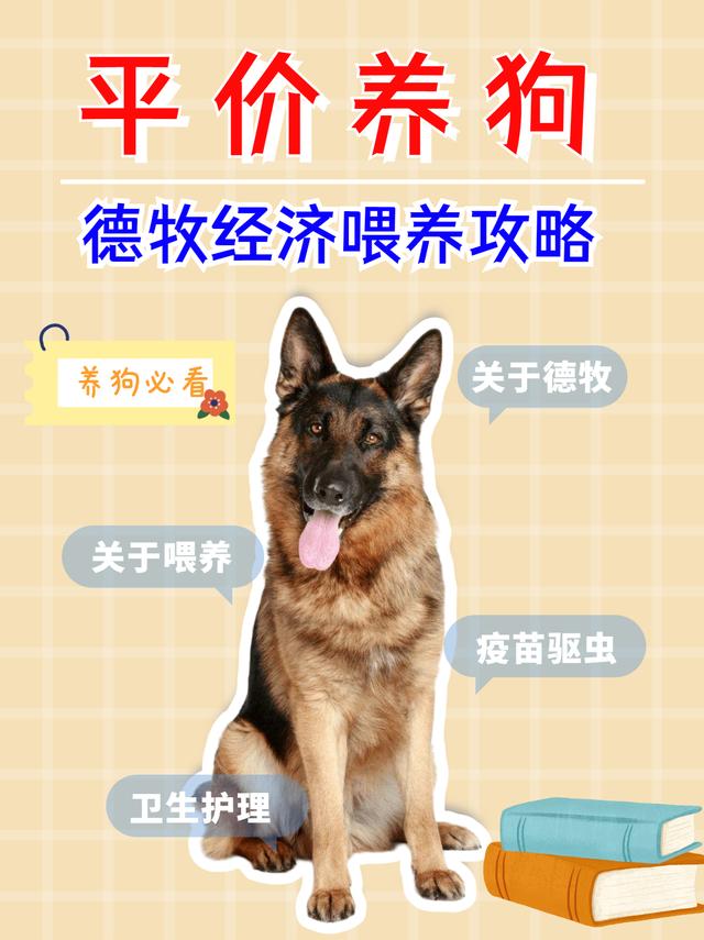 德国牧羊犬论坛